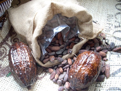 Cacao Cacao